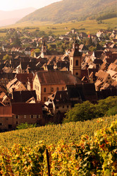 Similar image 13072689