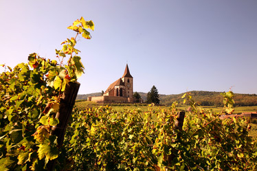 Similar image 13072813