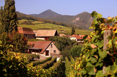 Similar image 13072831