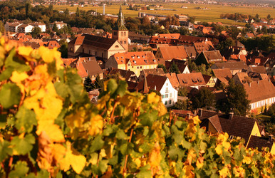 Similar image 13072832