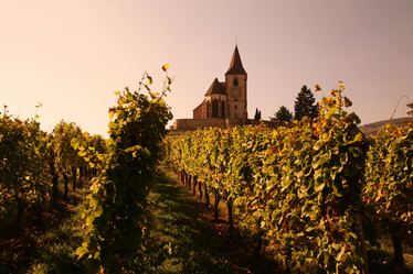 Similar image 13072845