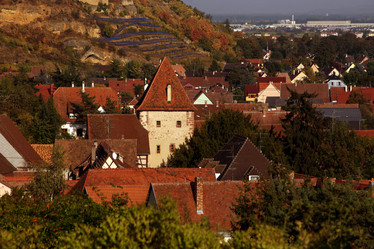 Similar image 13072890