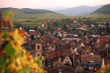 Similar image 13072989