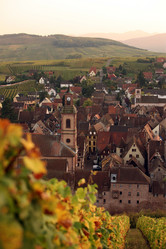 Similar image 13083423