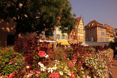 Similar image 13083462