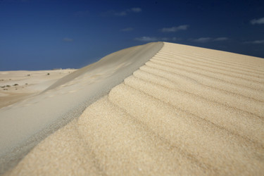 Similar image 13072106