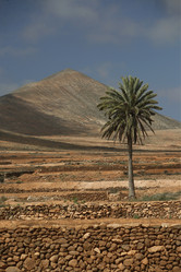 Similar image 13072173