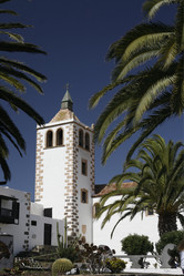 Similar image 13072498