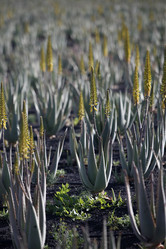 Similar image 13083267