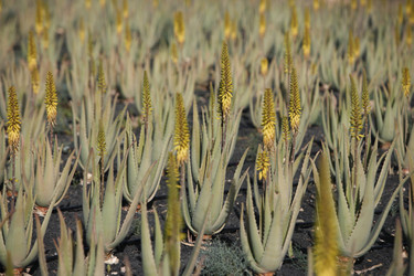 Similar image 13083404