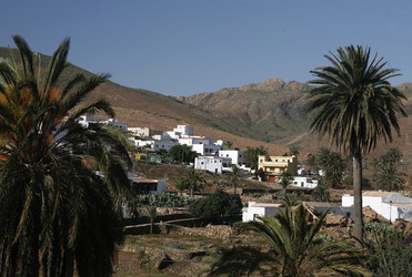 Similar image 13083463