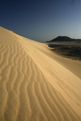 Similar image 13083464