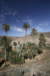 Similar image 13083681