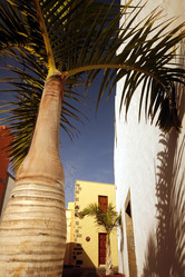 Similar image 13067921