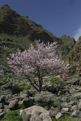 Similar image 13067961