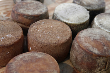 Similar image 13072052