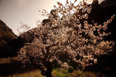 Similar image 13072135