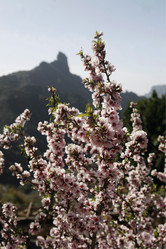 Similar image 13072174