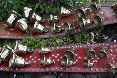 Similar image 13072479