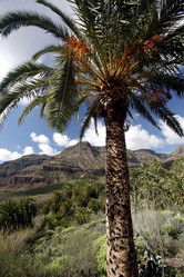 Similar image 13072637