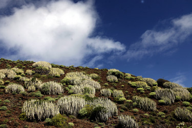 Similar image 13072872