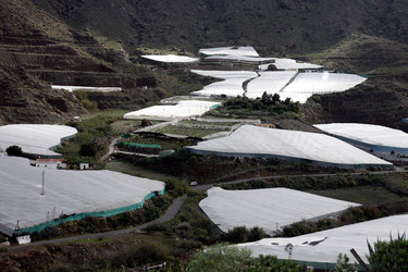 Similar image 13083328