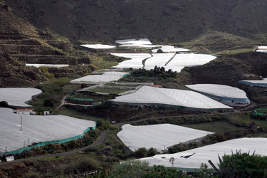 Similar image 13083344