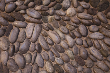 Similar image 13083644