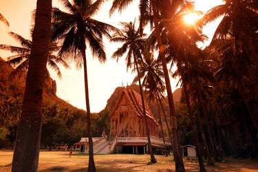 Similar image 13072137