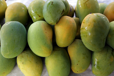 Similar image 13072176