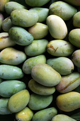 Similar image 13072194