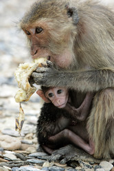 Similar image 13072280