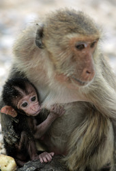 Similar image 13072281