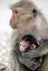 Similar image 13072319