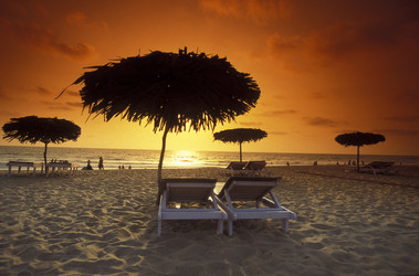 Similar image 13072520