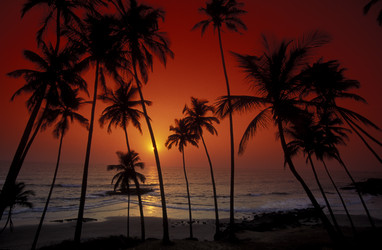 Similar image 13072608