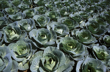 Similar image 13072676