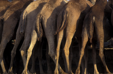 Similar image 13072380