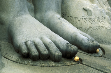 Similar image 13072500