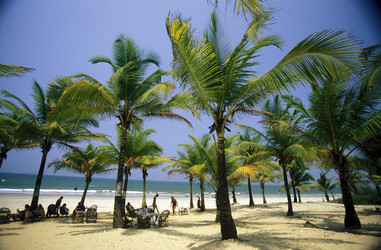 Similar image 13072874