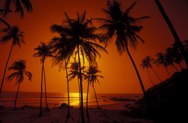 Similar image 13072893