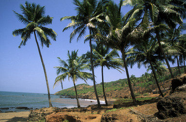 Similar image 13072894