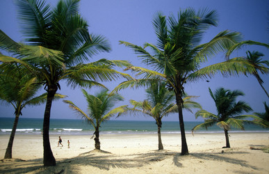 Similar image 13072913