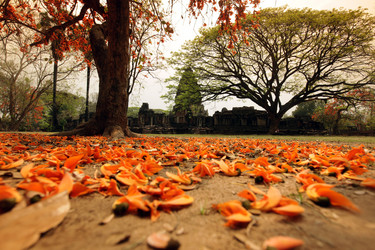 Similar image 13083581