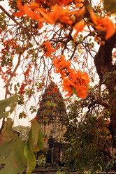 Similar image 13083582