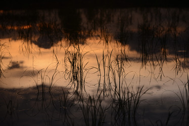 Similar image 13072400