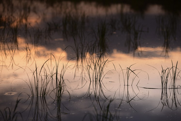 Similar image 13072401