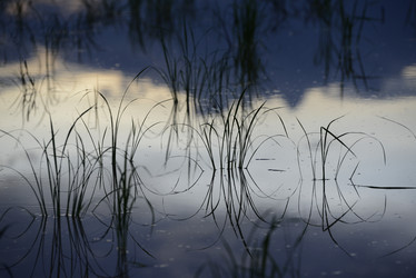 Similar image 13072501