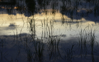 Similar image 13072559