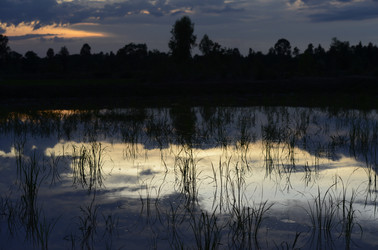 Similar image 13072696